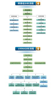 生工生物優質技術服務推薦 高通量測序與轉錄組、小RNA分析